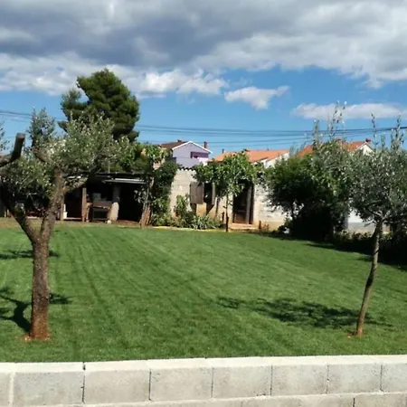 Topolino Vodnjan